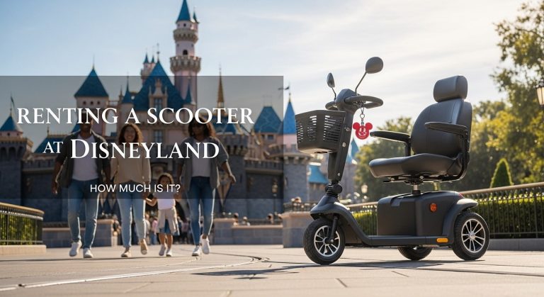 How Much is It to Rent a Scooter at Disneyland