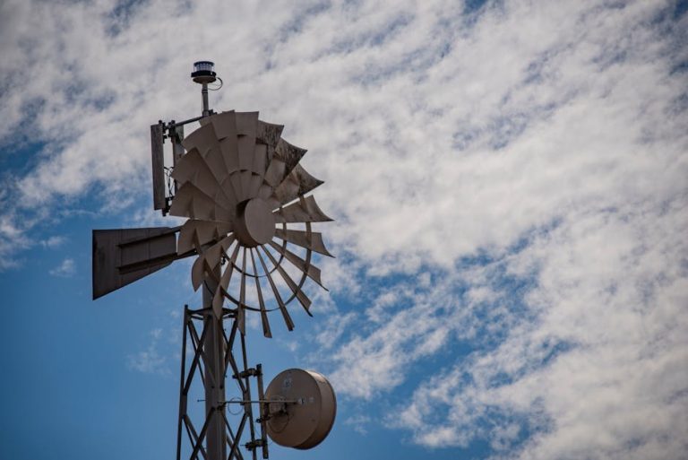 How Does a Diaphragm Pump Work: Unveiling Powerful Mechanics